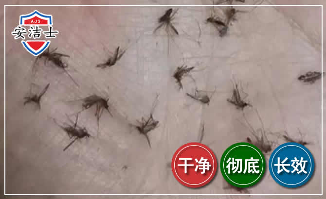 浦江蚊子防治-灭蚊