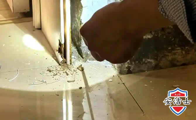 浦江房屋建筑防治白蚁