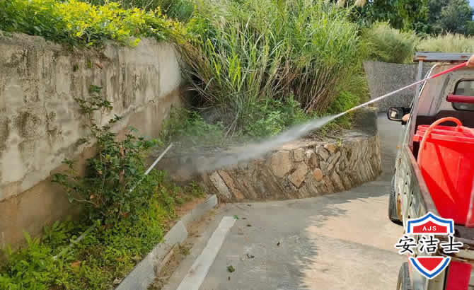 浦江道路堤坝白蚁防治