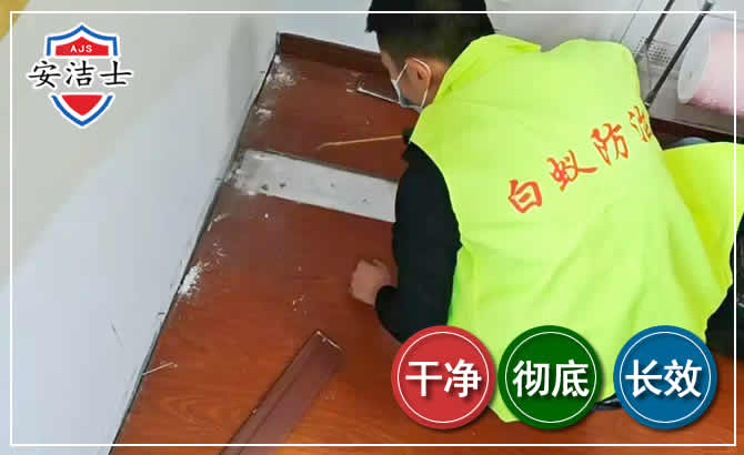 浦江除四害现场