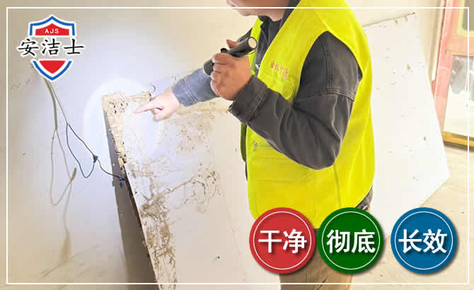 浦江除白蚁现场