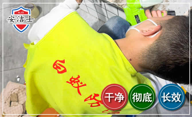 浦江白蚁根治现场